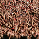 Illustration for article titled Former College Football Player: Here's Why Fans Owe Us Their Support